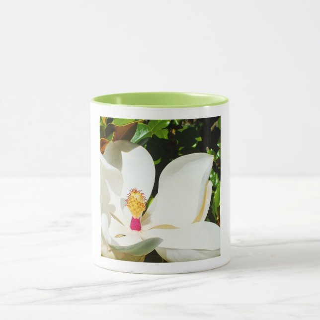 Magnolia Tasse (Zentrum)