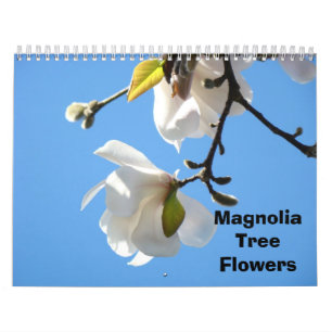 Magnolia Tree Blume Fotografie Kalender