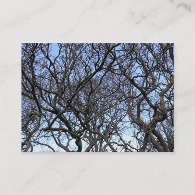 Magnolia Tree Branches Visitenkarte (Vorderseite)
