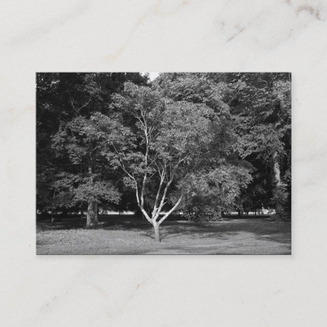 Magnolia Tree BW Visitenkarte (Vorderseite)