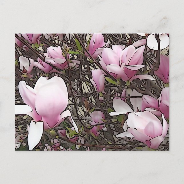 Magnolia Tree Postcard Postkarte (Vorderseite)