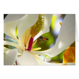 Magnolia und Honey Bee Card