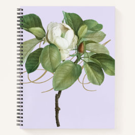 Magnolia Vintage botanische Illustration Notizbuch
