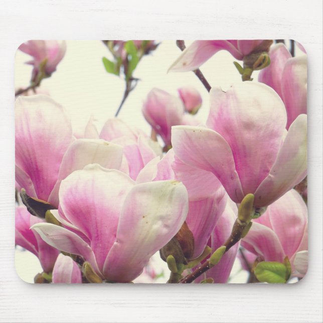 Magnolia Vintage florale botanische Blossom Chic Mousepad (Vorne)