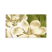 Magnolia-Visitenkarte