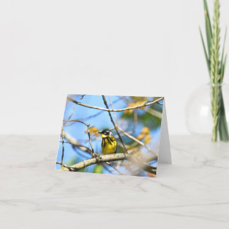 Magnolia Warbler - Blank Note Card Dankeskarte