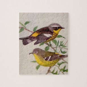 Magnolia Warbler Malerei von Louis Agassiz Fuentes Puzzle