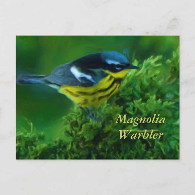 Magnolia Warbler Post Card Postkarte (Vorderseite)