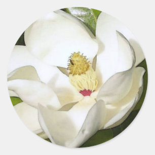 Magnolia White Runder Aufkleber