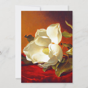 Magnolia zu Red Velvet Martin Johnson Heade Ankündigung