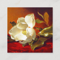 Magnolia zu Red Velvet Martin Johnson Heade