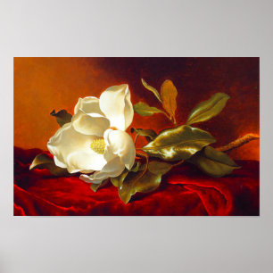 Magnolia zu Red Velvet Martin Johnson Heade Poster