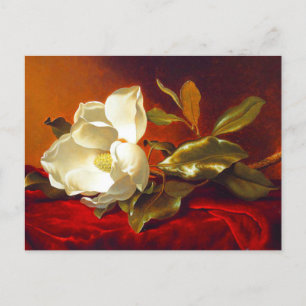Magnolia zu Red Velvet Martin Johnson Heade Postkarte