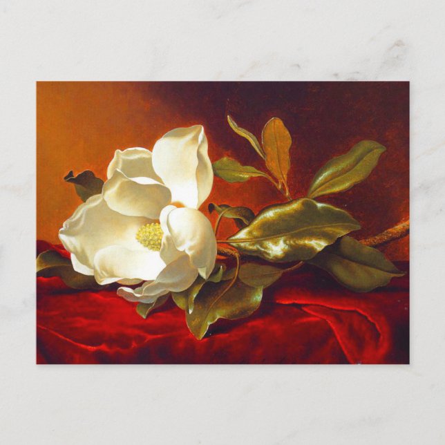 Magnolia zu Red Velvet Martin Johnson Heade Postkarte (Vorderseite)