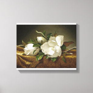 Magnolias auf Gold Velvet Cloth von Martin Johnson Leinwanddruck