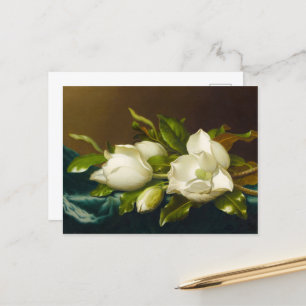 Magnolias auf Light Blue Velvet Tuch von M J Heade Postkarte