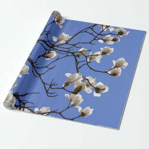 Magnolias blühen geschenkpapier