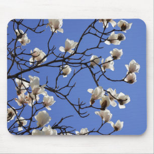 Magnolias blühen mousepad