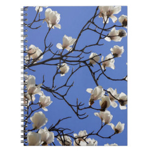 Magnolias blühen notizblock