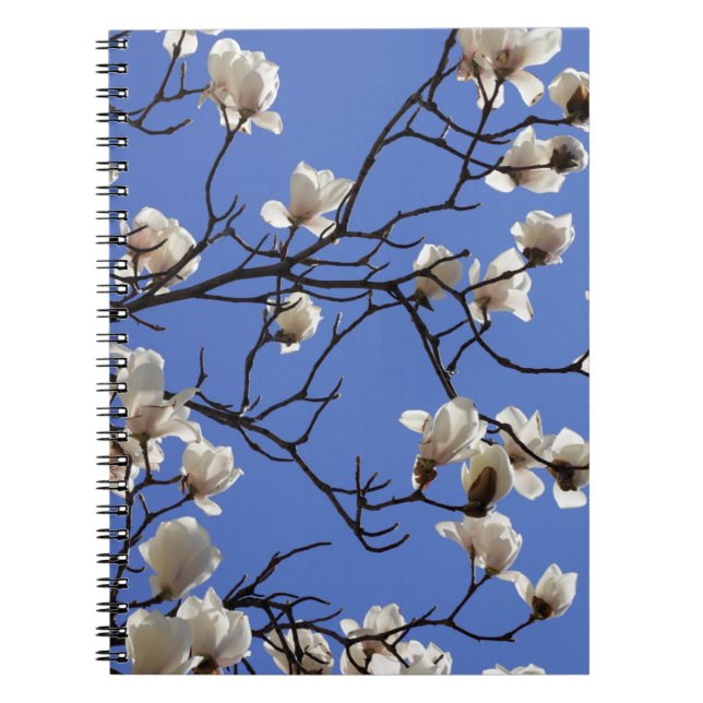 Magnolias blühen notizblock (Vorderseite)