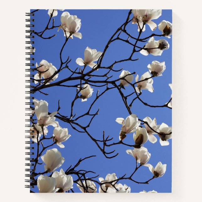 Magnolias blühen notizbuch (Vorderseite)