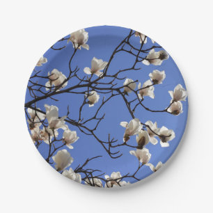 Magnolias blühen pappteller