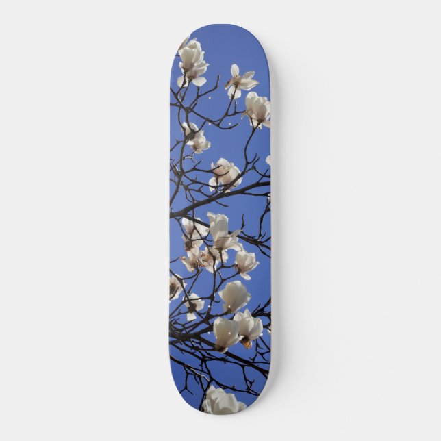 Magnolias blühen skateboard (Vorderseite)