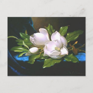 Magnolias on Blue Velvet - Postkarte