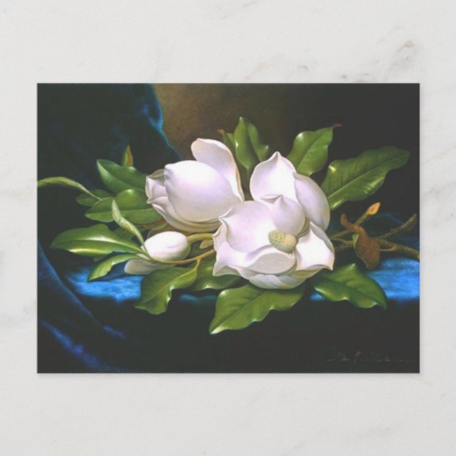Magnolias on Blue Velvet - Postkarte (Vorderseite)