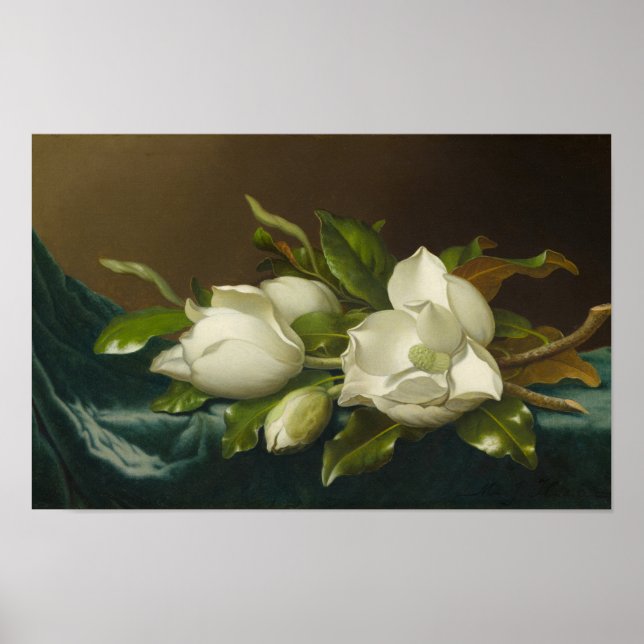 Magnolias on Light Blue Velvet ,Famous Painting Poster (Vorne)
