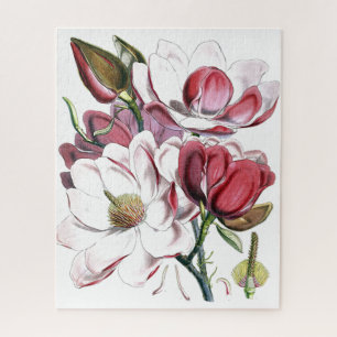 Magnolie asiatische Blume Vintage alte Illustratio Puzzle