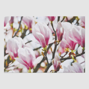 Magnolie Blumen Floral Botanisch Blühen Chic  Seidenpapier
