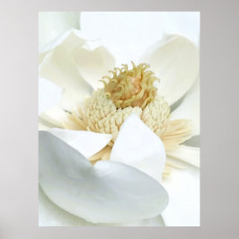 Magnolie Blüte Poster