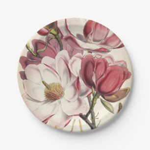 Magnolie - Botanicals-Kollektion Pappteller