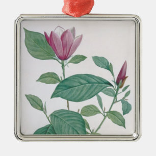Magnolie entfärben, graviert durch Legrand (die Ornament Aus Metall