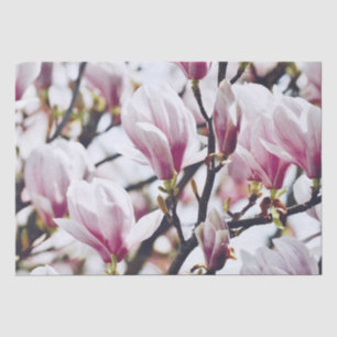 Magnolie Florale Botanische Blüten Vintage Antik Seidenpapier