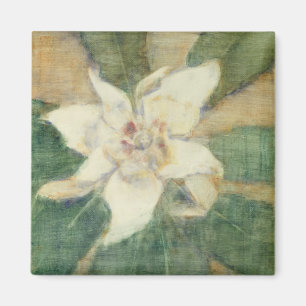 Magnolie Grandiflora Magnet