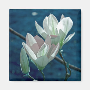 Magnolie Magnet