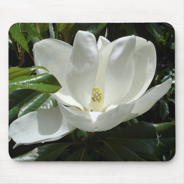 Magnolie Mousepad (Vorne)
