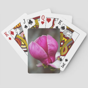 Magnolie Rosa Vollblüte Spielkarten