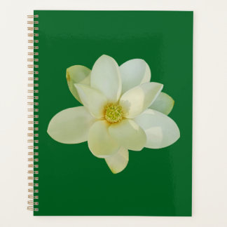 Magnolie Sweetbay Planer