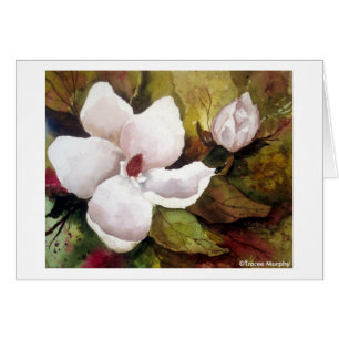 Magnolie u. Blüte