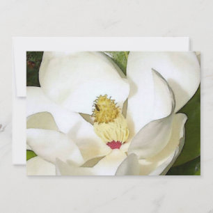 Magnolie White Invitation - Florale Kunst Einladun Einladung