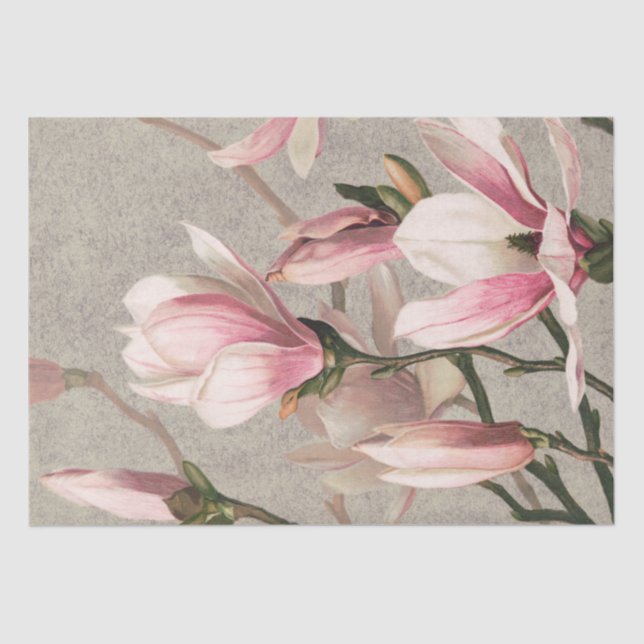Magnolien (1886) seidenpapier (Vorderseite)