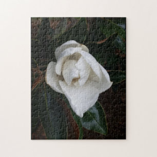 Magnolien 1 puzzle