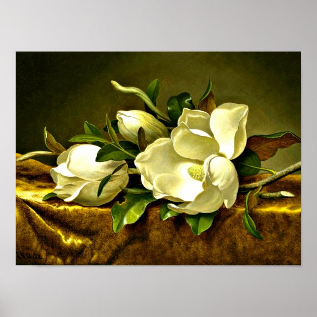 Magnolien auf goldenem Samttuch Poster (Vorne)