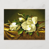 Magnolien auf goldenem Samttuch