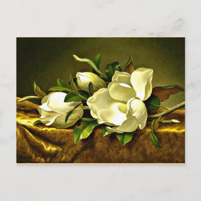 Magnolien auf goldenem Samttuch Postkarte (Vorderseite)