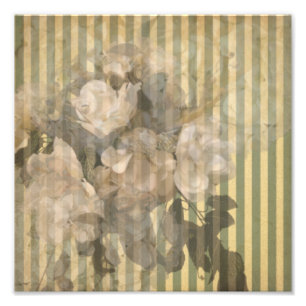 Magnolien auf Streifen Vintage-Papier Fotodruck