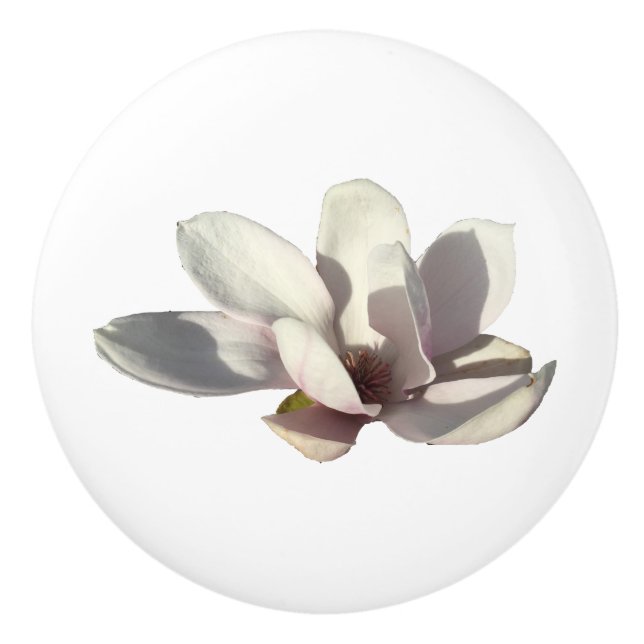 Magnolien-Blume Keramikknauf (Vorderseite)